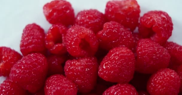 Fresh ripe raspberries — Stock Video