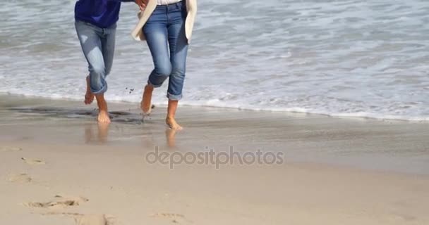 Ältere Paare genießen am Strand — Stockvideo