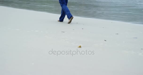 在海滩上的女高管 — 图库视频影像