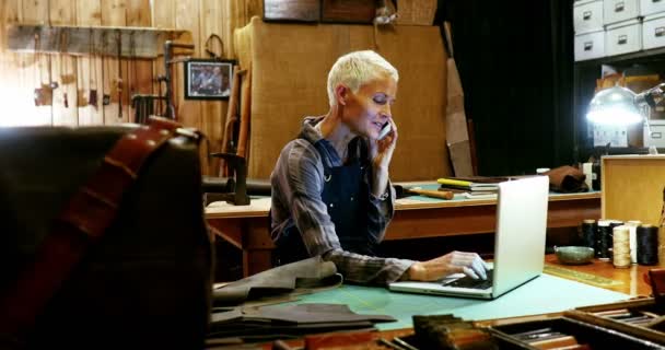 Craftswoman usando laptop — Vídeo de Stock