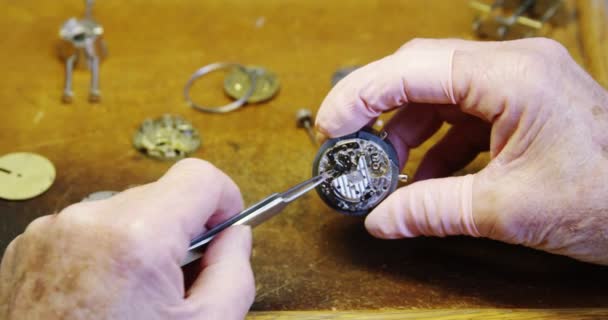 Horologist repairing a watch — Stock Video