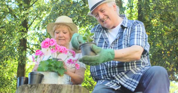 Casal sênior jardinagem juntos — Vídeo de Stock