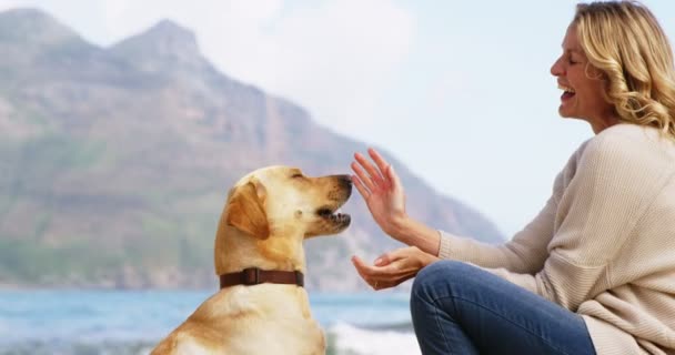 成熟的女人在海滩上玩狗 — 图库视频影像