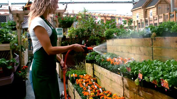 水ホースで植物に水をまく女性花屋 — ストック動画