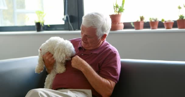 Starszy człowiek pampering psa — Wideo stockowe