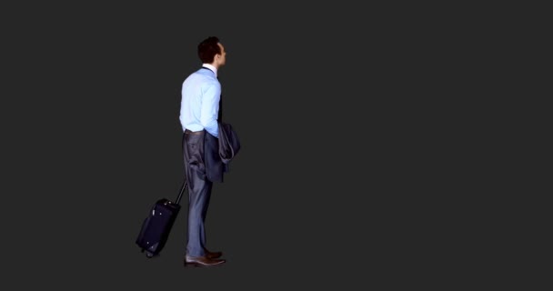 Бизнесмен стоит со своим багажом — стоковое видео