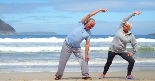 年长的夫妇表演伸展运动 — 图库视频影像