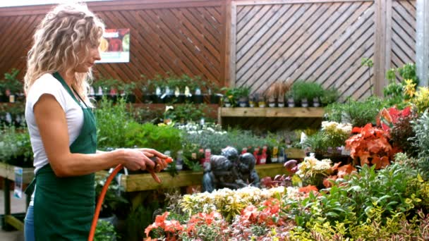 Floristería femenina regadera con manguera de agua — Vídeos de Stock