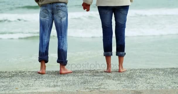 成熟的夫妇在海滩上享受 — 图库视频影像