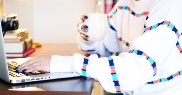 Mujer usando un portátil — Vídeos de Stock