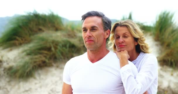 Olgun çift birlikte Beach — Stok video