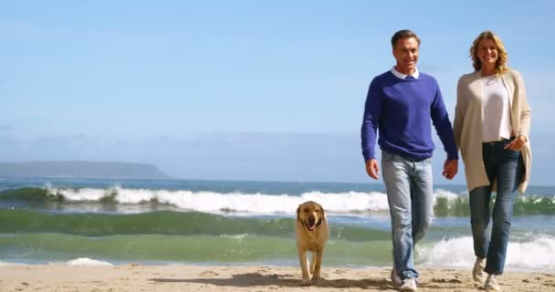 Pareja madura paseando con el perro en la playa — Vídeo de stock