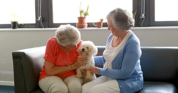Пожилые женщины балуют собаку — стоковое видео