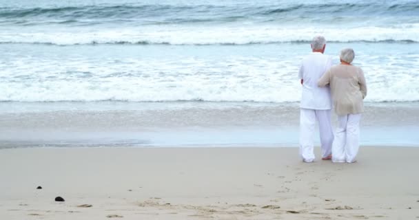 Casal sênior andando na praia — Vídeo de Stock