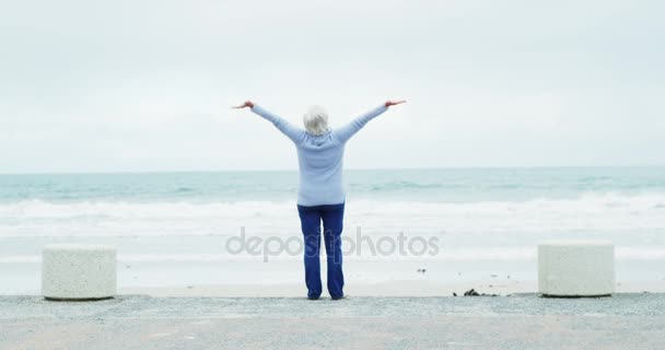 Mujer mayor en la playa — Vídeo de stock