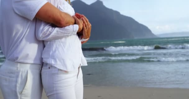 Couple mature ensemble à la plage — Video