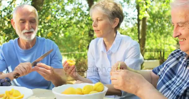 Parejas mayores eliminando semillas de frutas de albaricoque en el jardín — Vídeos de Stock