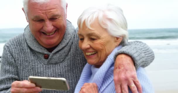 Senior couple checking photos — Stock Video