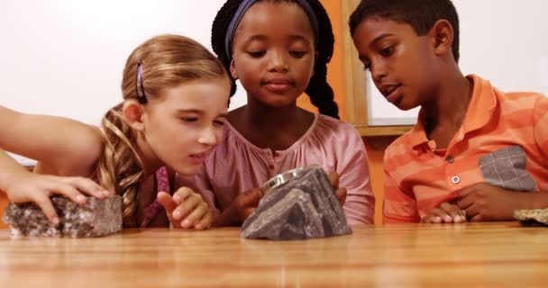 Дети используют увеличительное стекло над камнем — стоковое видео