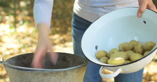 Patates kaseye koyarak kadın kıdemli — Stok video
