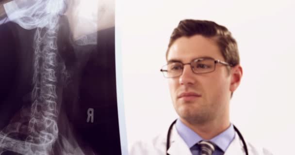 Médecin étudiant la radiographie — Video