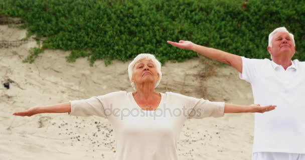 Senior couple performing yoga — Stock Video