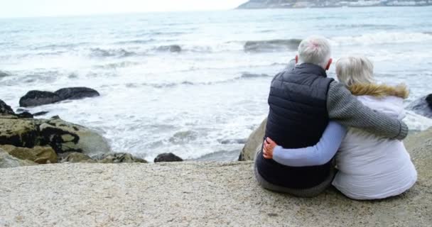 Seniorenpaar blickt aufs Meer — Stockvideo
