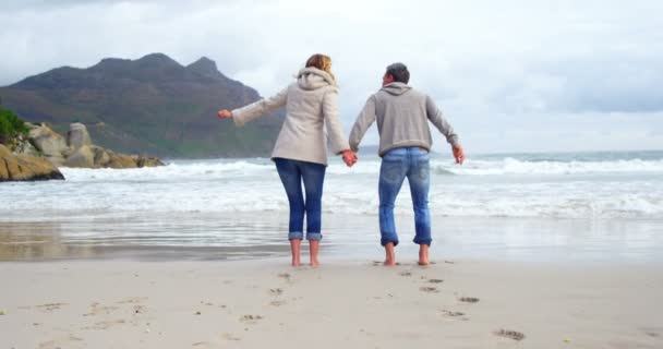 Ältere Paare genießen am Strand — Stockvideo