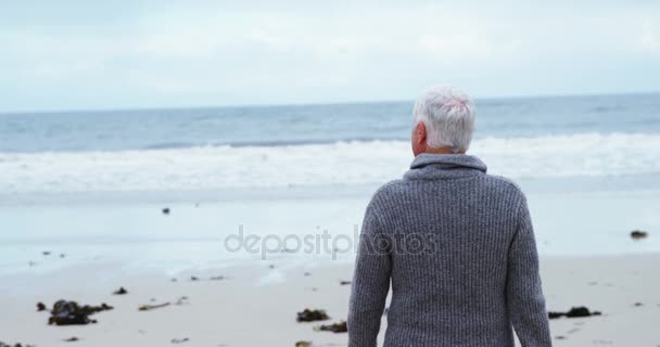Uomo anziano a piedi sulla spiaggia — Video Stock