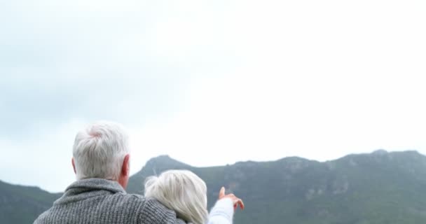 Lyckliga äldre par — Stockvideo