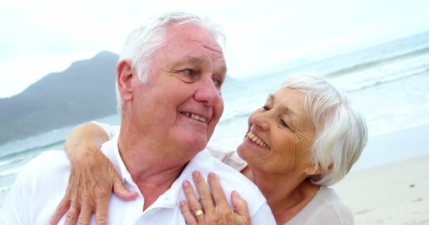 Senior couple embracing on beach — Stock Video