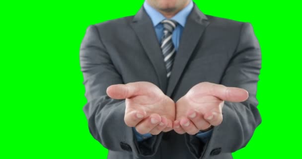 Средняя секция жестов бизнесмена — стоковое видео