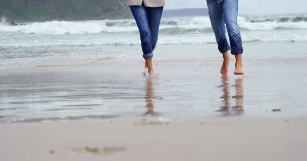 Зрелая пара наслаждается пляжем — стоковое видео