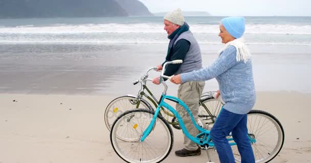 Seniorenpaar zu Fuß mit dem Fahrrad — Stockvideo