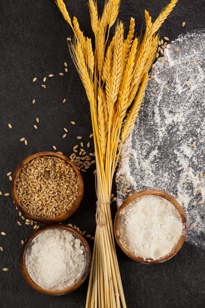 Butir gandum dan tepung — Stok Foto