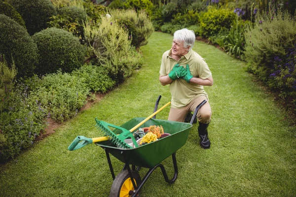 Uomo anziano che soffre di dolore mentre fa giardinaggio — Foto Stock