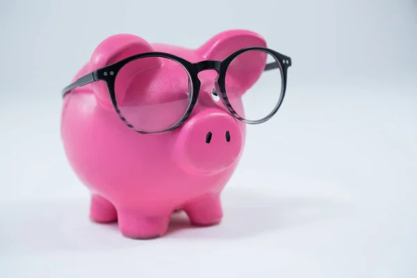 Sparschwein mit Brille — Stockfoto