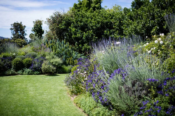 Giardino in una giornata di sole — Foto Stock