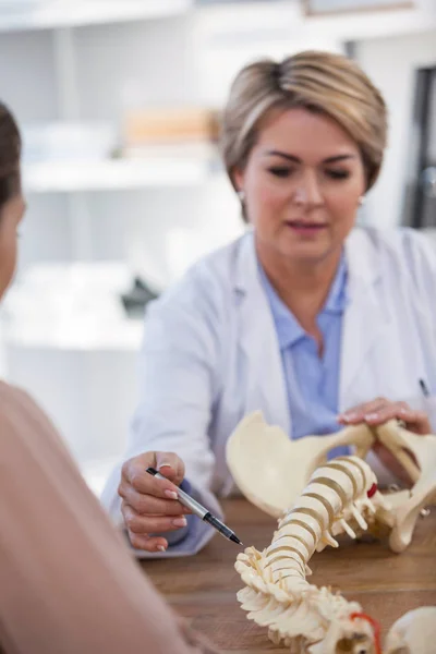 Доктор пояснює пацієнту анатомічний хребет — стокове фото