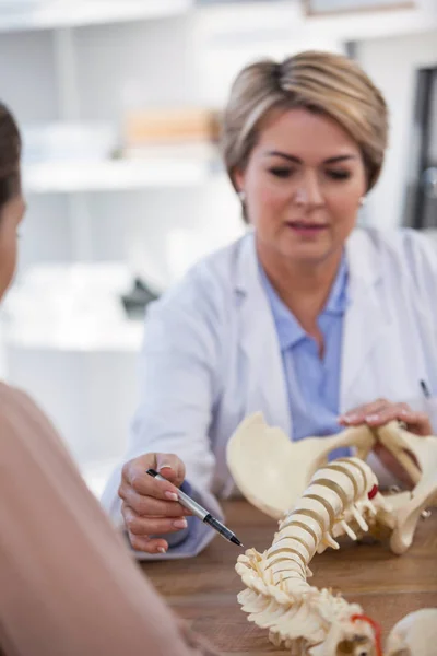 Médico que explica a coluna anatômica ao paciente — Fotografia de Stock