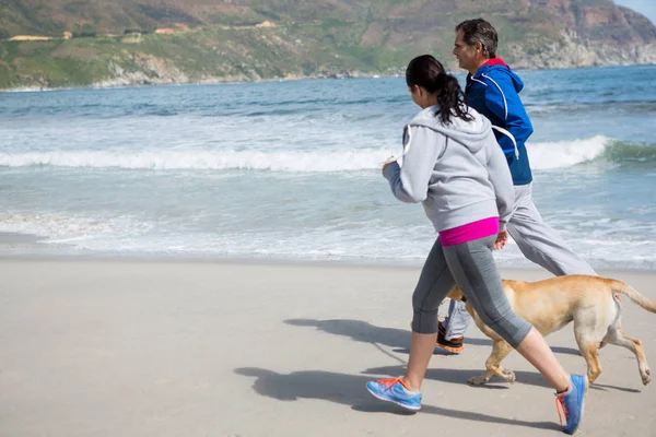 Paar joggt mit Hund — Stockfoto