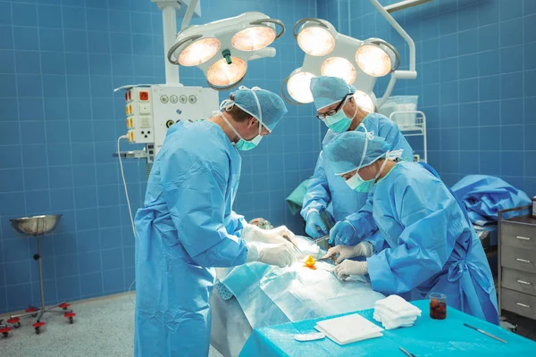 Equipe de cirurgiões realizando operação no teatro de operação — Fotografia de Stock