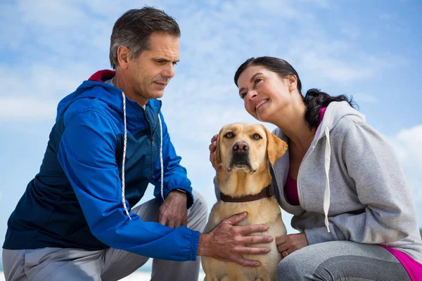 Lachende koppel dat met hun huisdier hond — Stockfoto