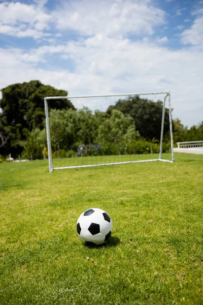 Fußball auf Rasenplatz — Stockfoto
