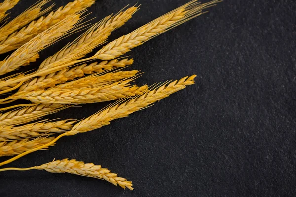 Wheat grains on black — Stock Photo, Image