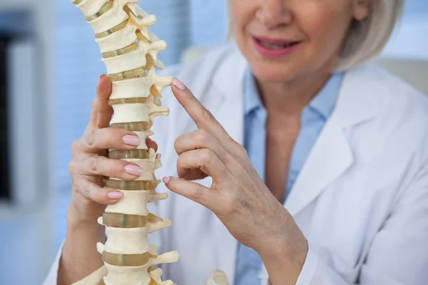 Médico femenino sosteniendo modelo de columna vertebral — Foto de Stock