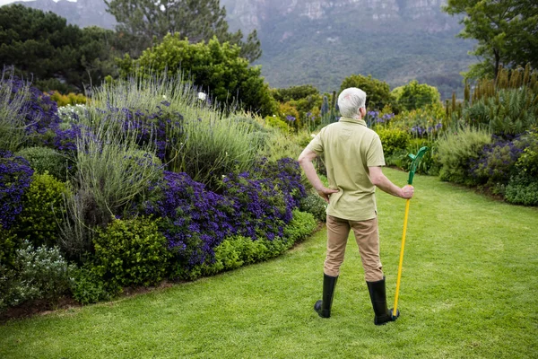 Äldre man som stod med trädgård verktyg — Stockfoto