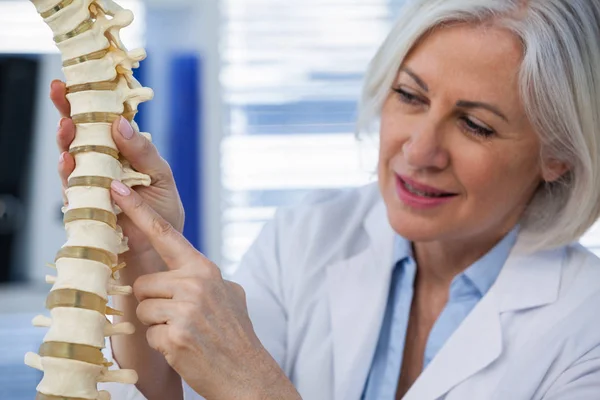 Médico femenino sosteniendo modelo de columna vertebral —  Fotos de Stock