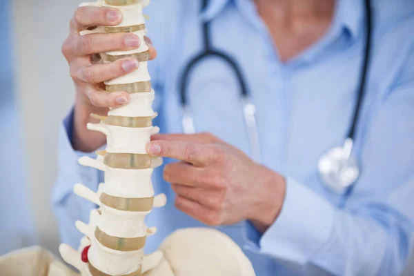 Female doctor holding spine model — Stock Photo, Image