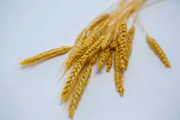 Wheat grains on white — Stock Photo, Image